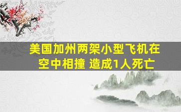 美国加州两架小型飞机在空中相撞 造成1人死亡